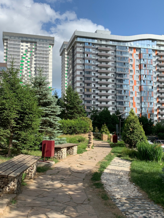 Отчет о работах по озеленению